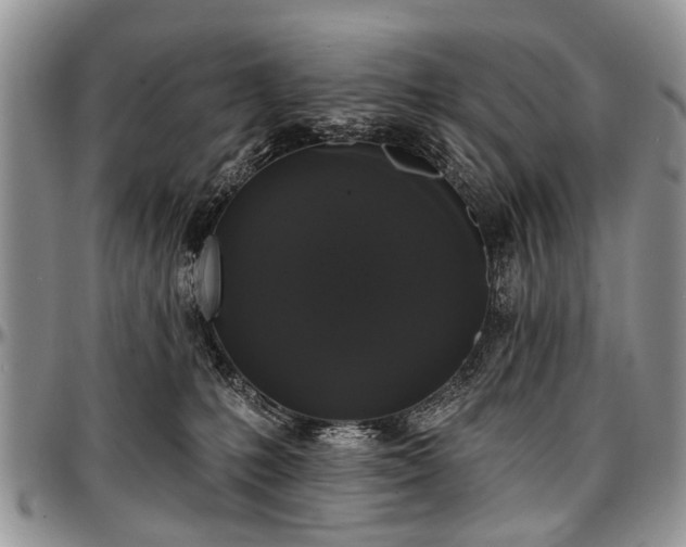 X0000097490231200802291440