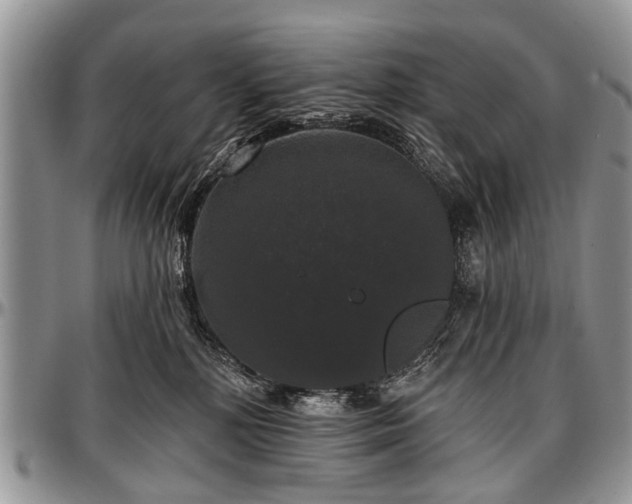 X0000097490232200802291440