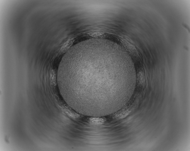 X0000097490234200802291440