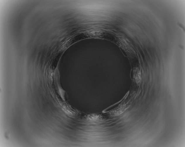 X0000097490235200802291440