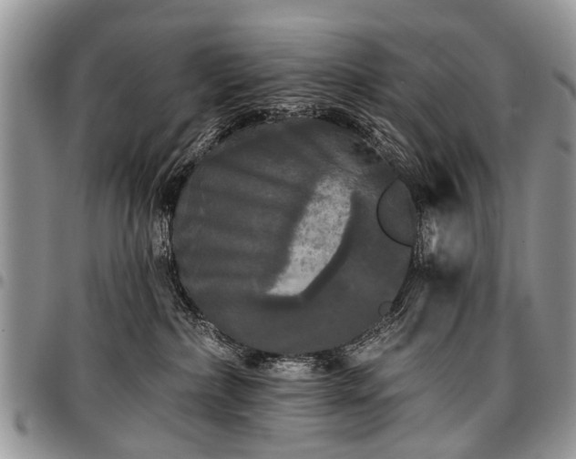 X0000097490236200802291440