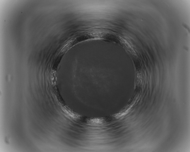 X0000097490237200802291440