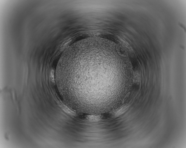 X0000097490238200802291440