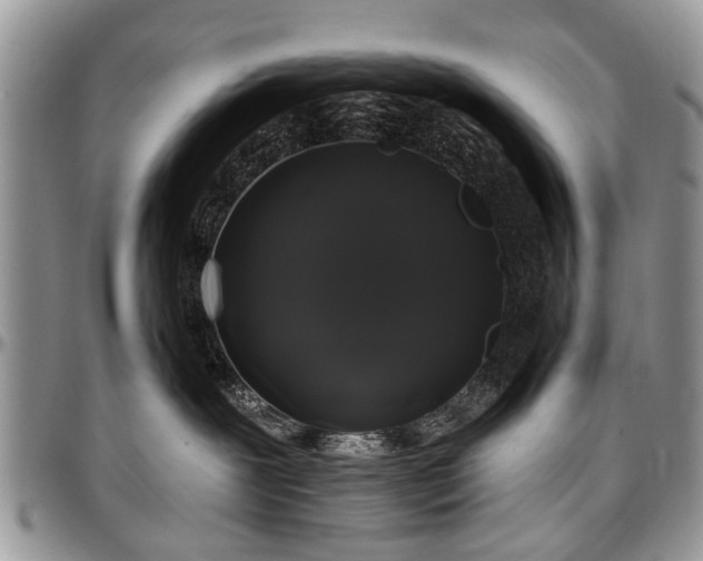 X0000097490239200802291440