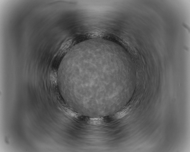 X0000097490240200802291440