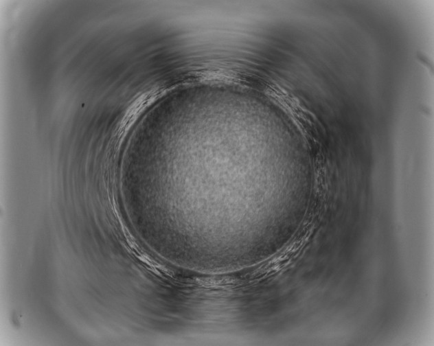 X0000097490241200802291439