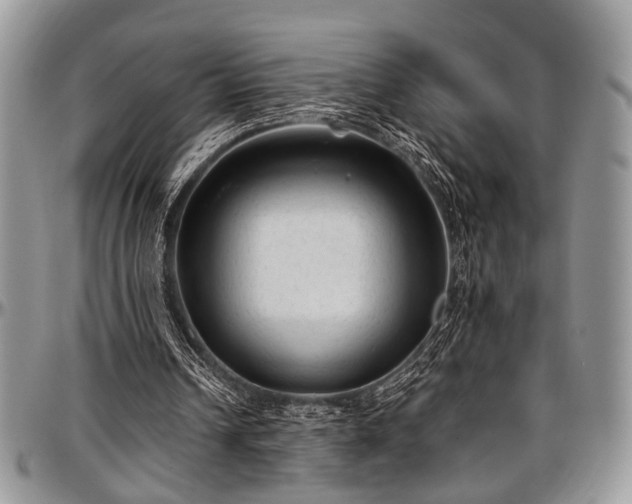 X0000097490242200802291439