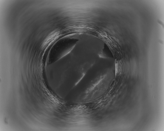 X0000097490243200802291439