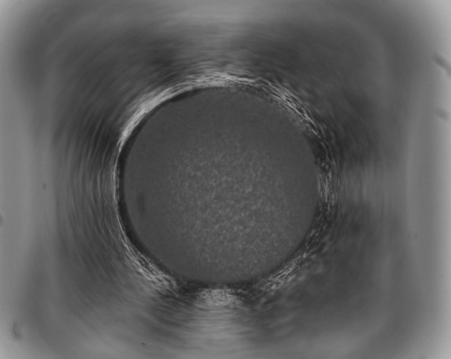 X0000097490244200802291439