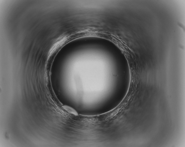 X0000097490245200802291439