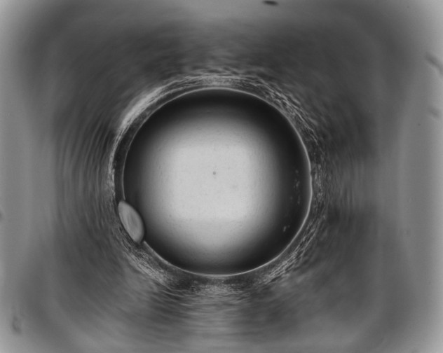 X0000097490246200802291439