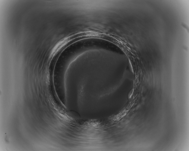 X0000097490247200802291439