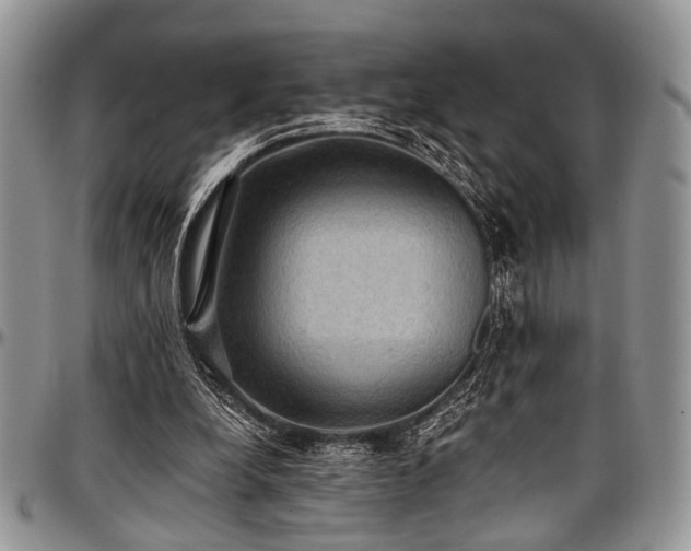 X0000097490248200802291439