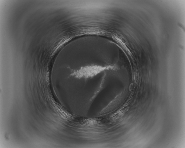 X0000097490249200802291439