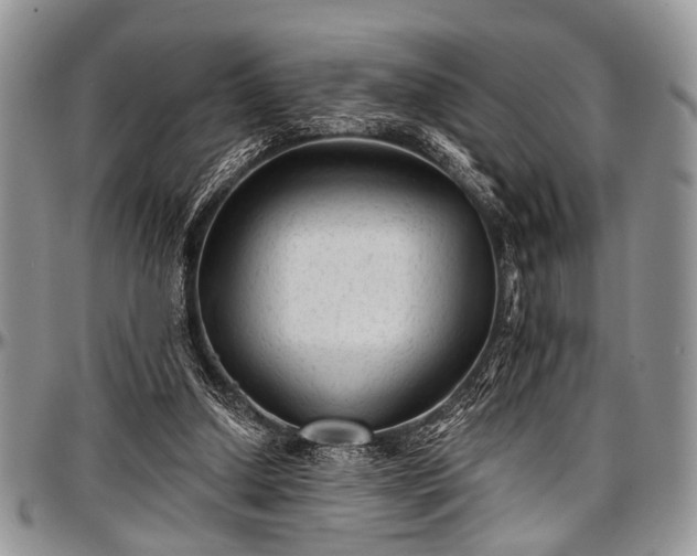 X0000097490250200802291440