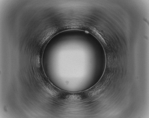 X0000097490251200802291440