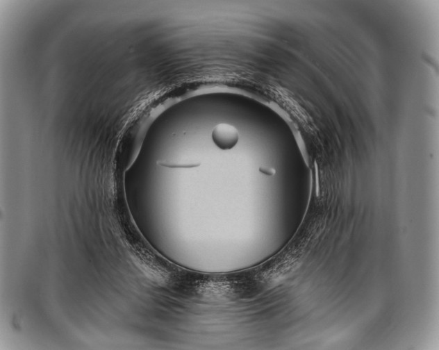 X0000097490252200802291440