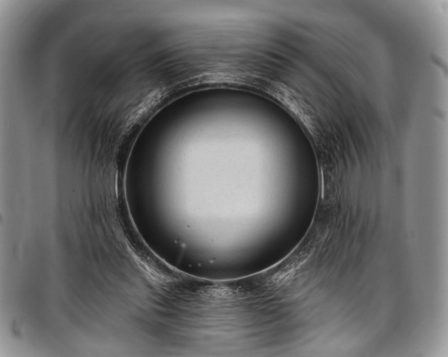 X0000097490253200802291440