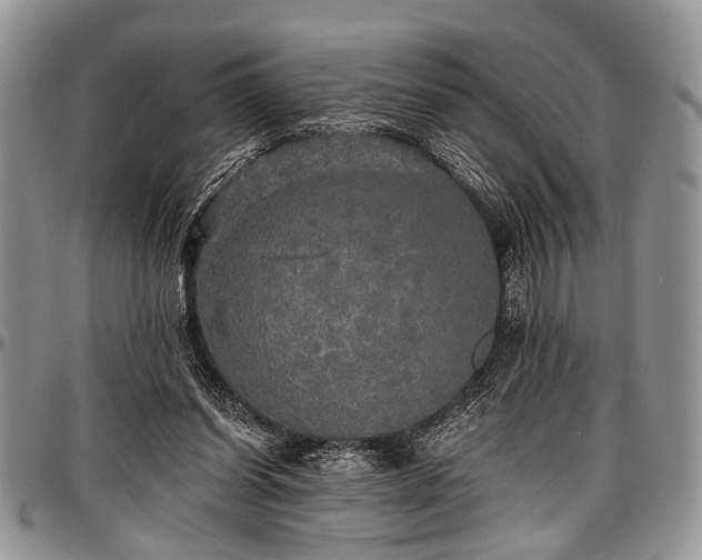 X0000097490254200802291440