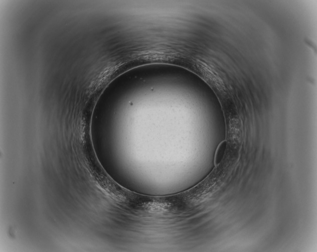 X0000097490255200802291440