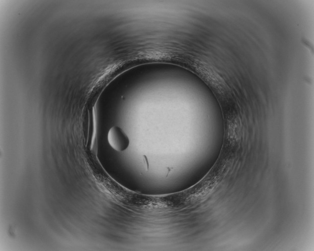 X0000097490256200802291440