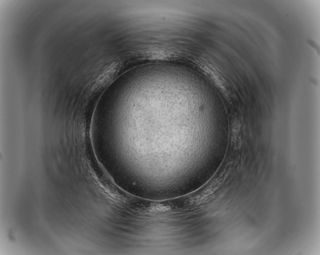 X0000097490257200802291440