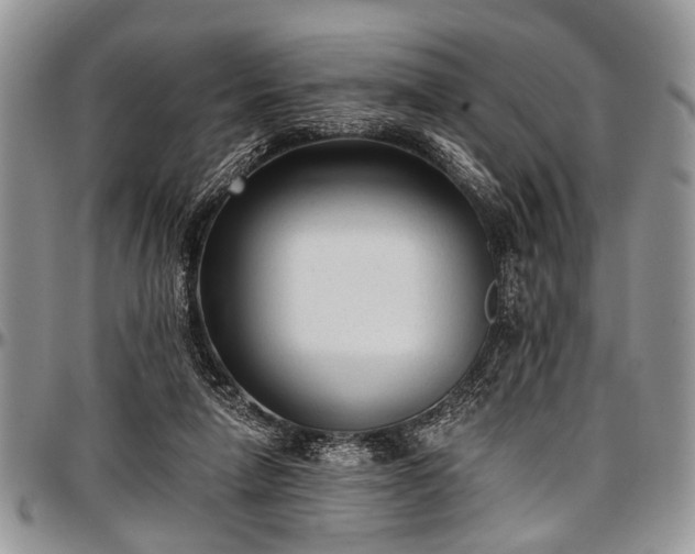 X0000097490258200802291440