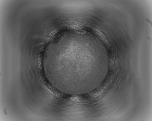 X0000097490259200802291440