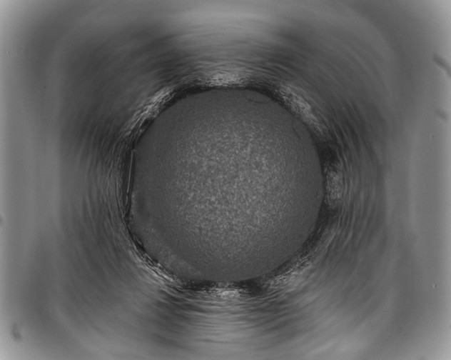 X0000097490260200802291440