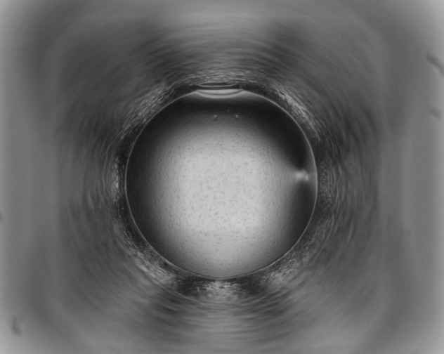 X0000097490261200802291440