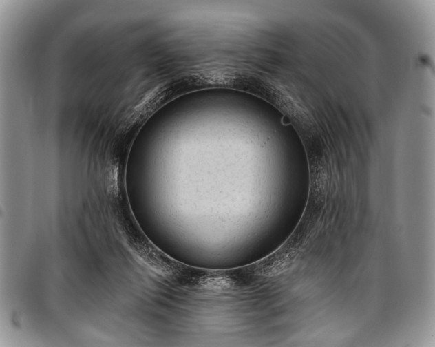 X0000097490262200802291440