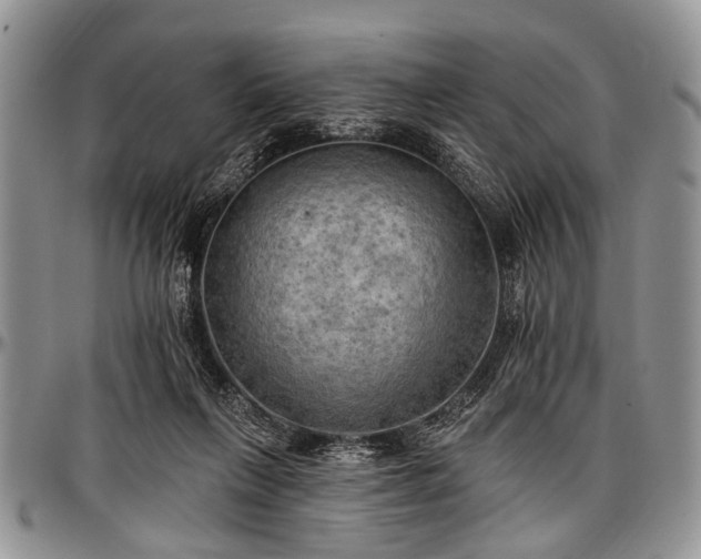 X0000097490263200802291440