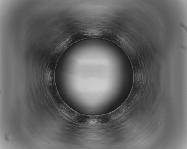 X0000097490264200802291440