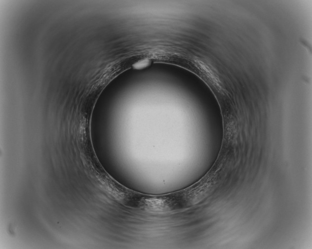 X0000097490265200802291440