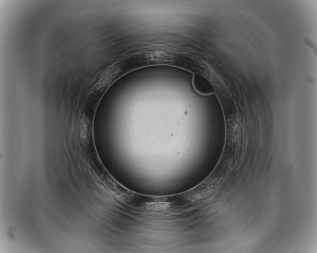 X0000097490266200802291440