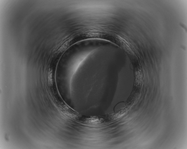 X0000097490267200802291440