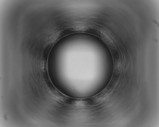 X0000097490268200802291440