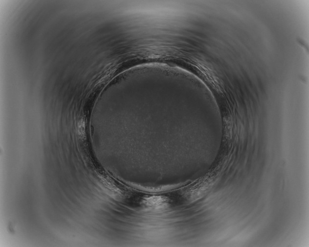 X0000097490269200802291440