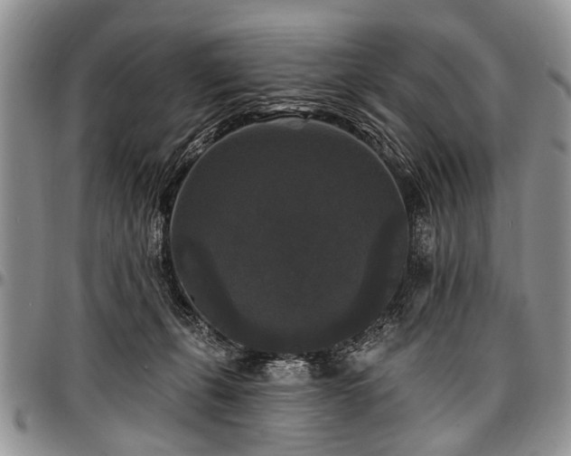 X0000097490271200802291440