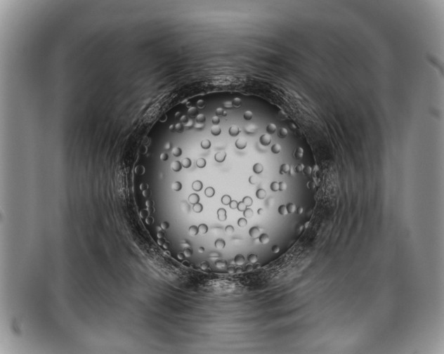 X0000097490272200802291440