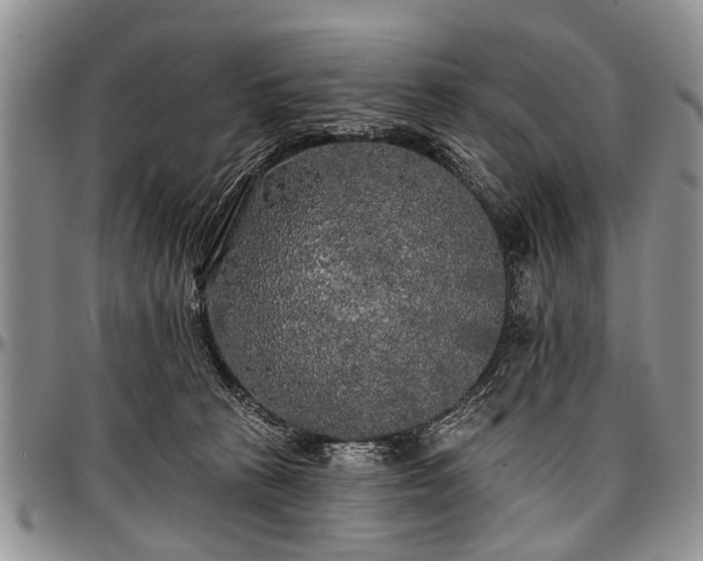 X0000097490273200802291440