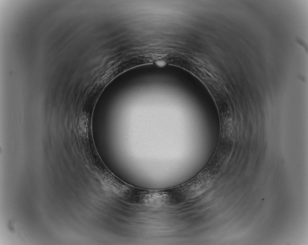 X0000097490274200802291440