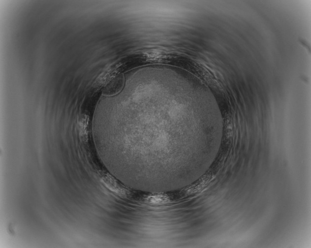 X0000097490275200802291440