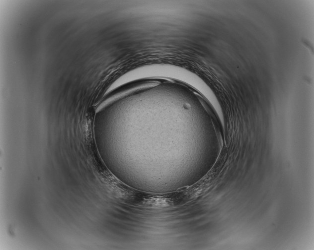 X0000097490276200802291440