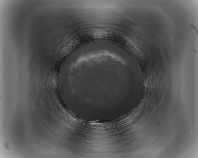 X0000097490277200802291440