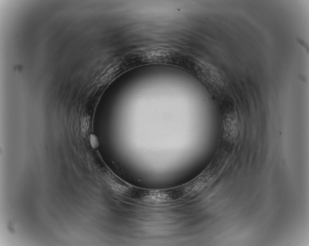 X0000097490278200802291440