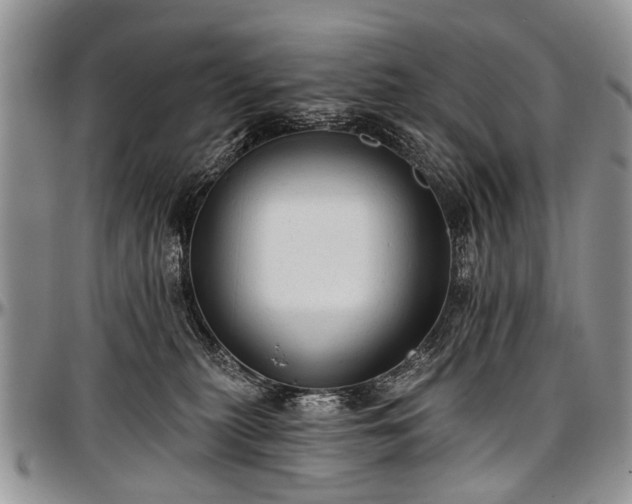 X0000097490279200802291440