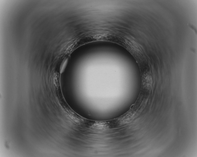 X0000097490280200802291440