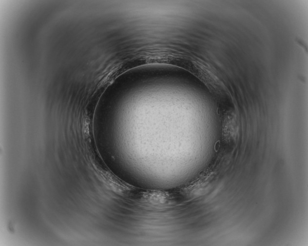 X0000097490282200802291440