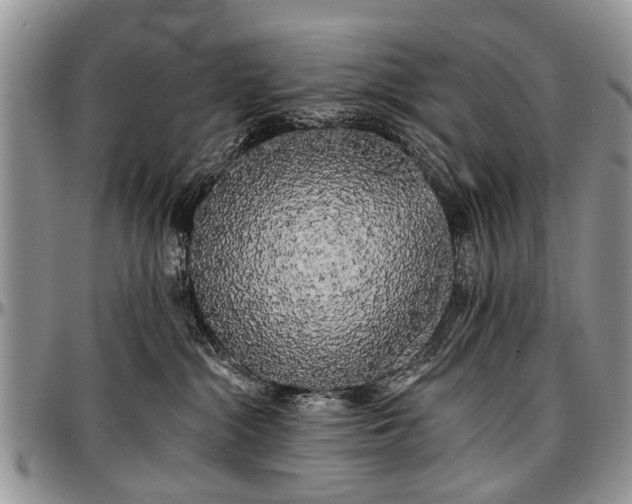 X0000097490284200802291440